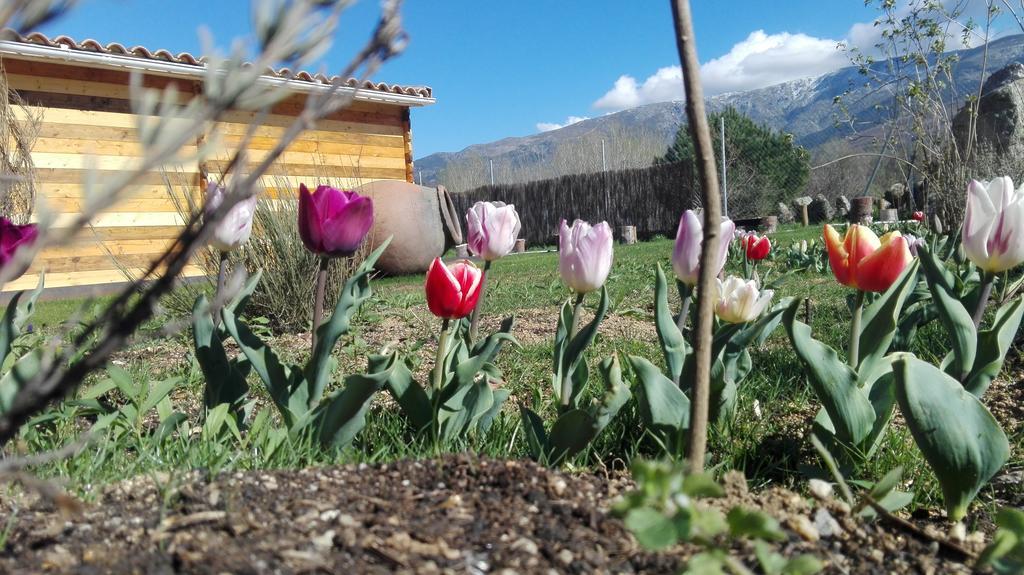 La Cabana Del Alberche Navaluenga Kültér fotó
